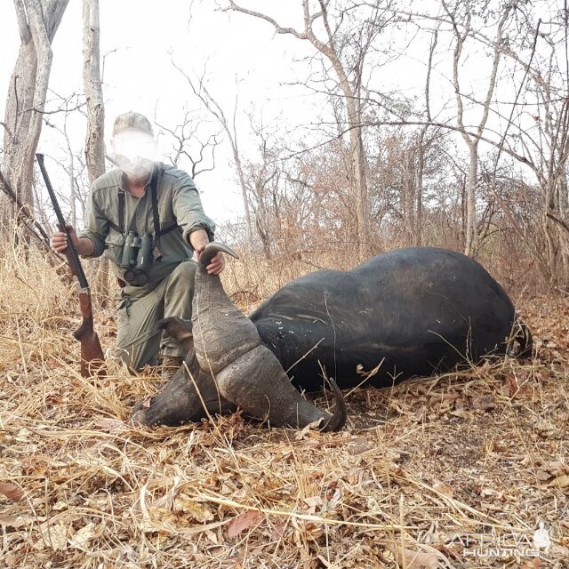 Cape Buffalo Hunt Tanzania