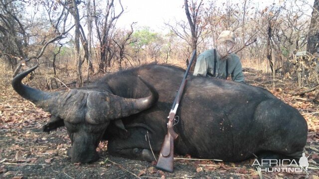 Cape Buffalo Hunt Tanzania