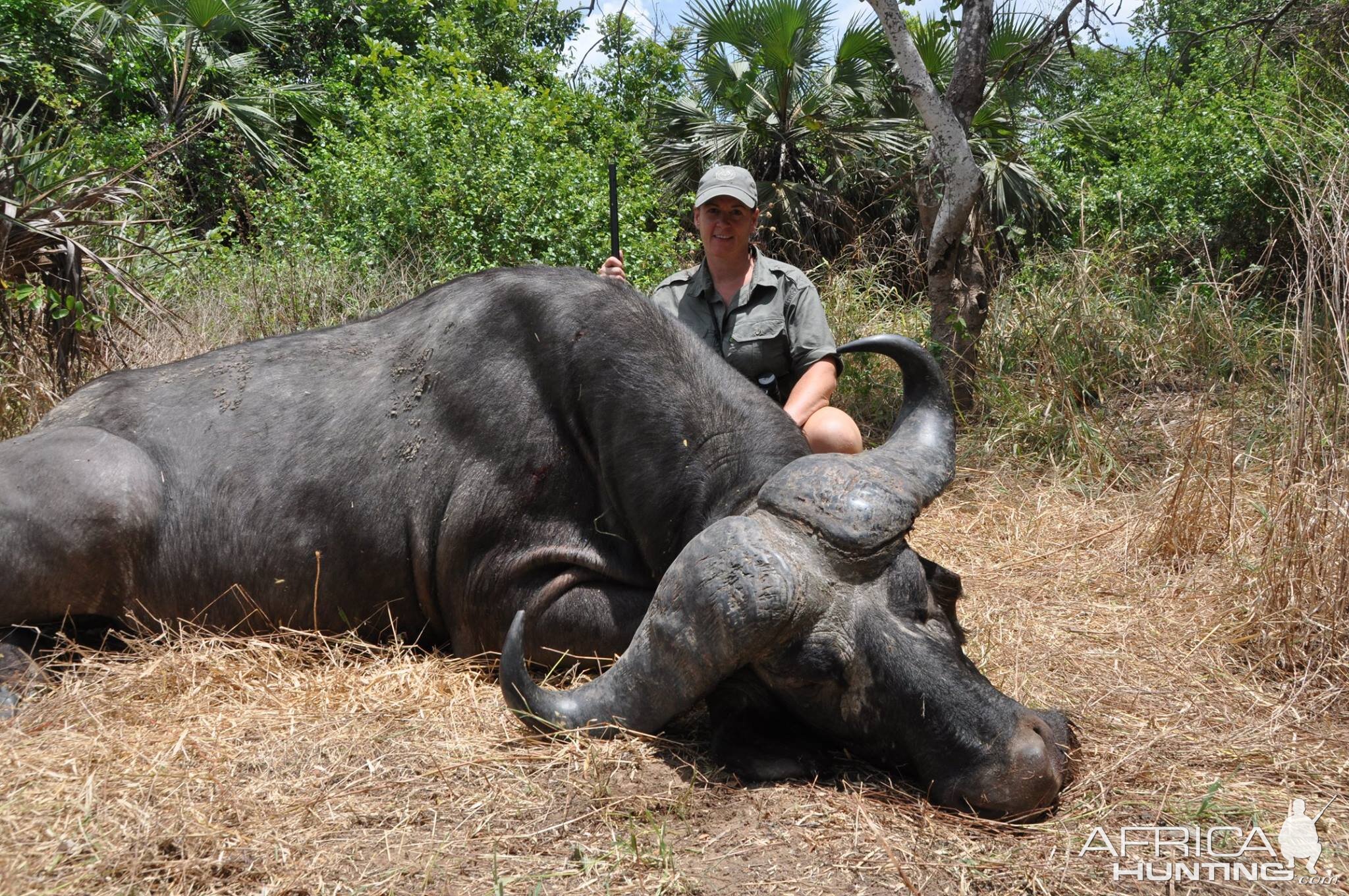 Cape Buffalo Hunt Tanzania