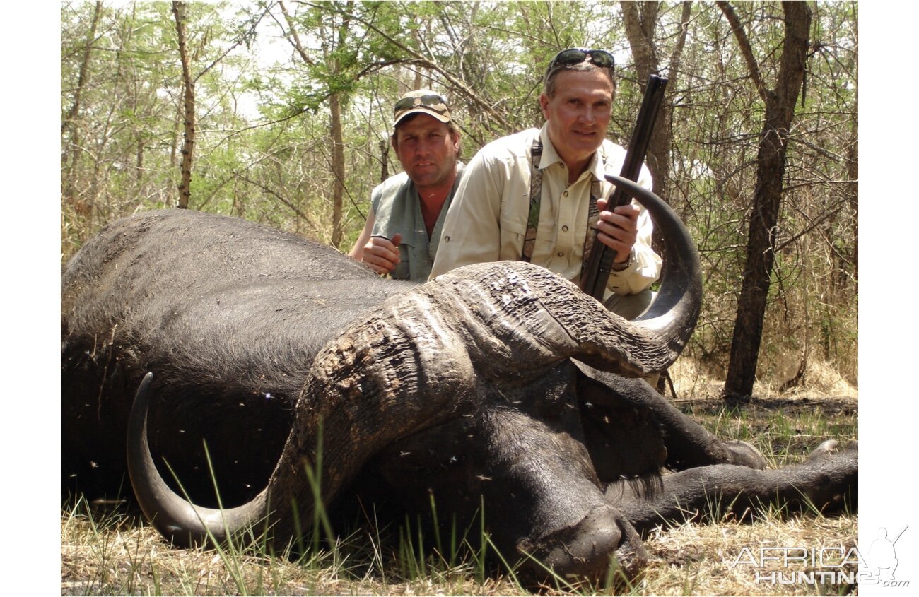 Cape Buffalo Hunt Tanzania