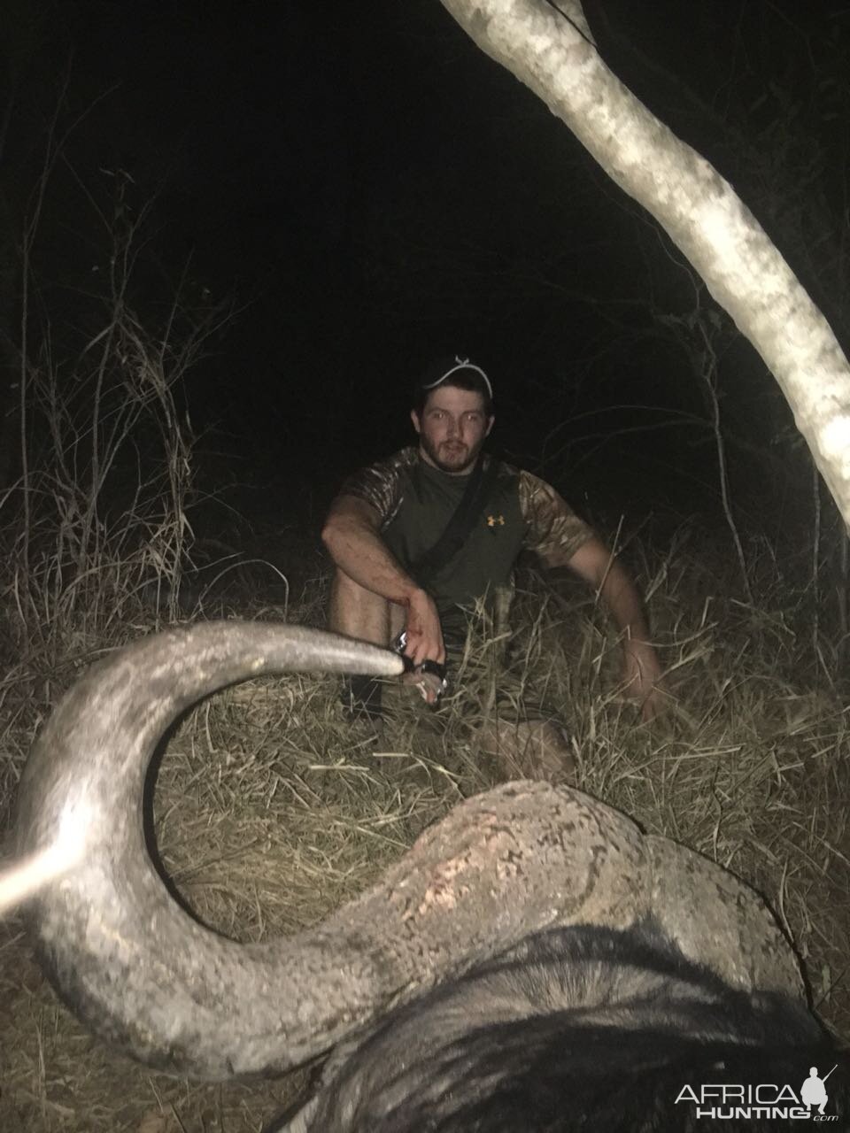 Cape Buffalo Hunt with Longbow