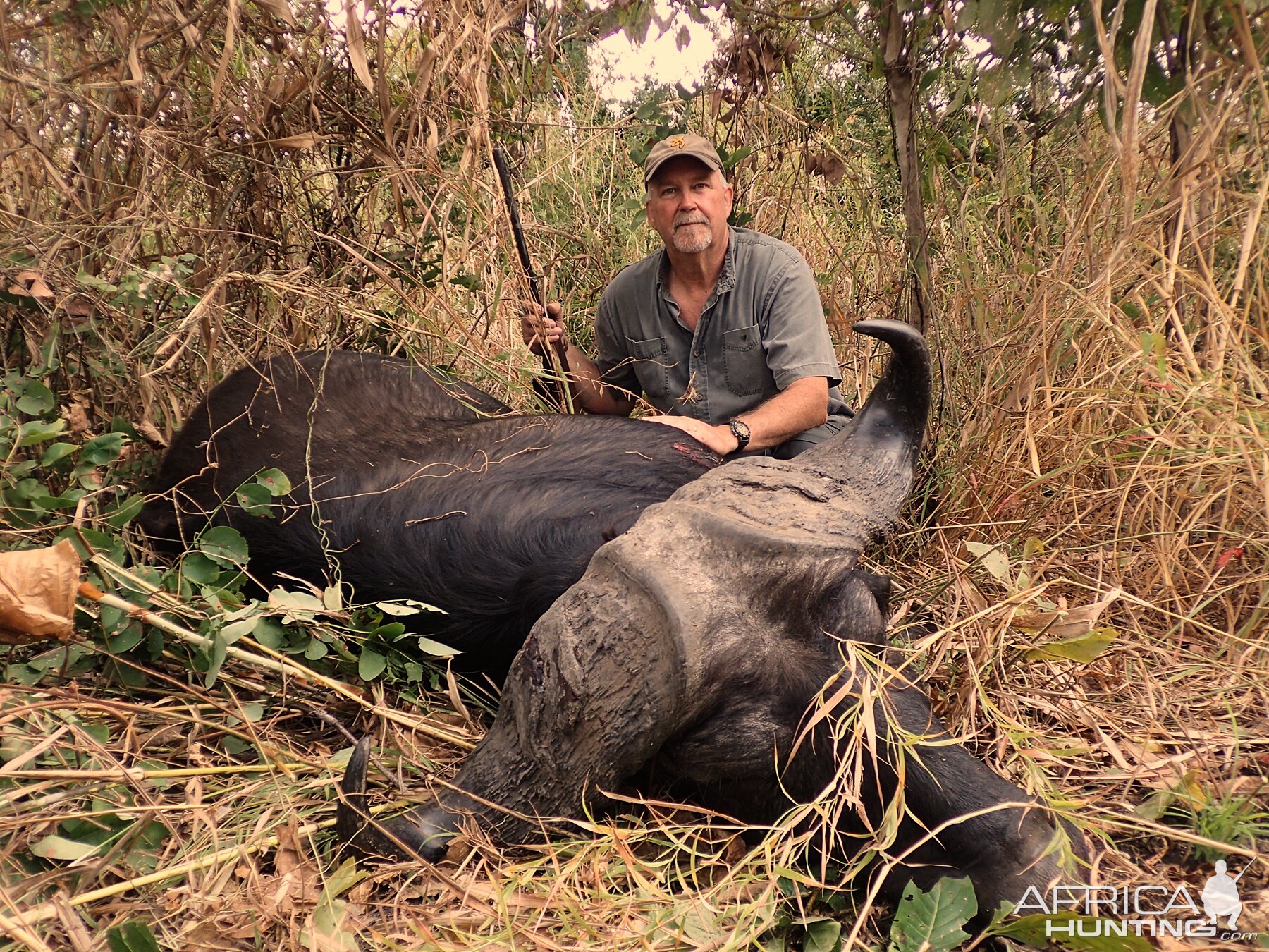 Cape Buffalo Hunt Zambia