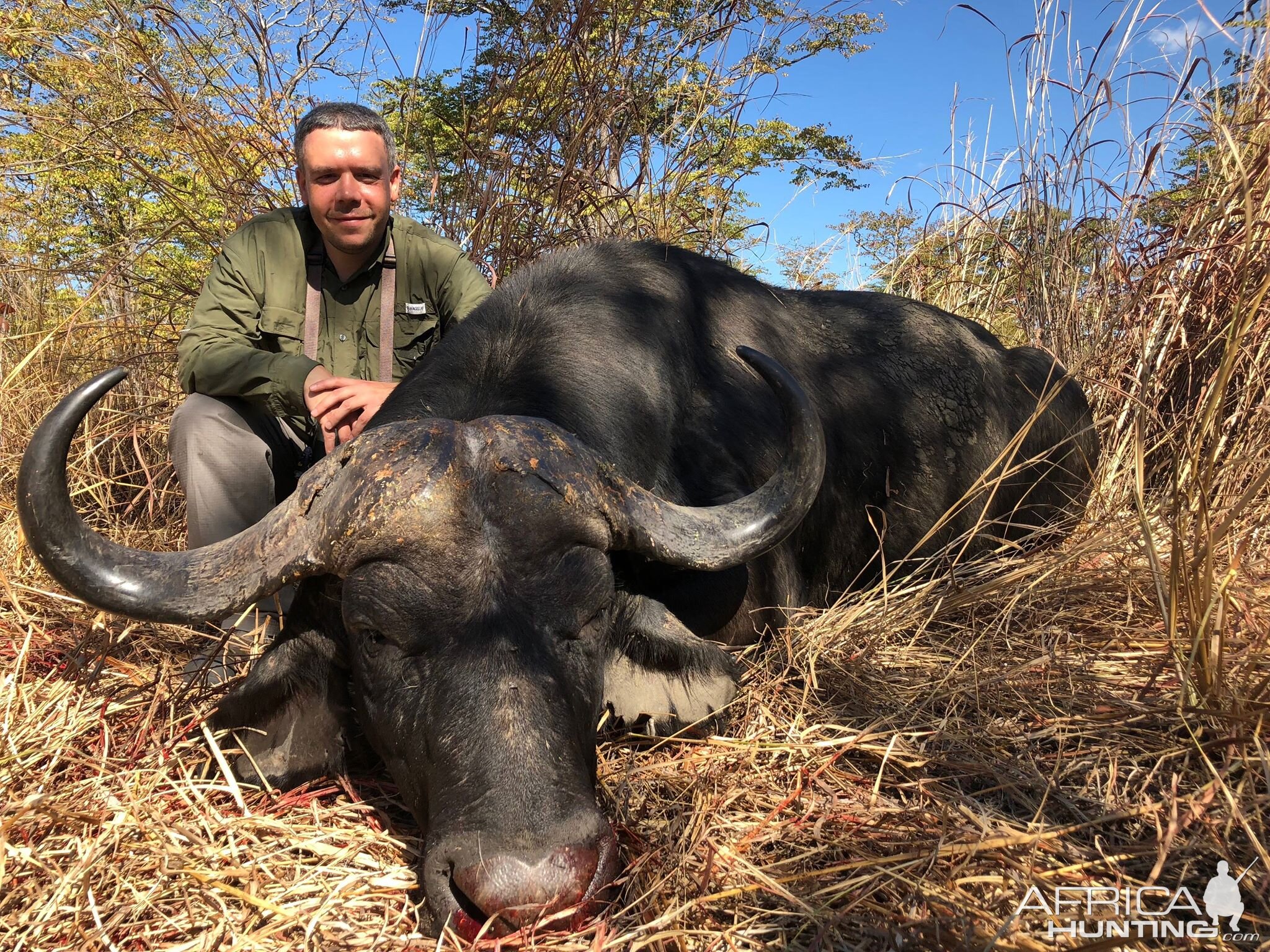 Cape Buffalo Hunt Zambia