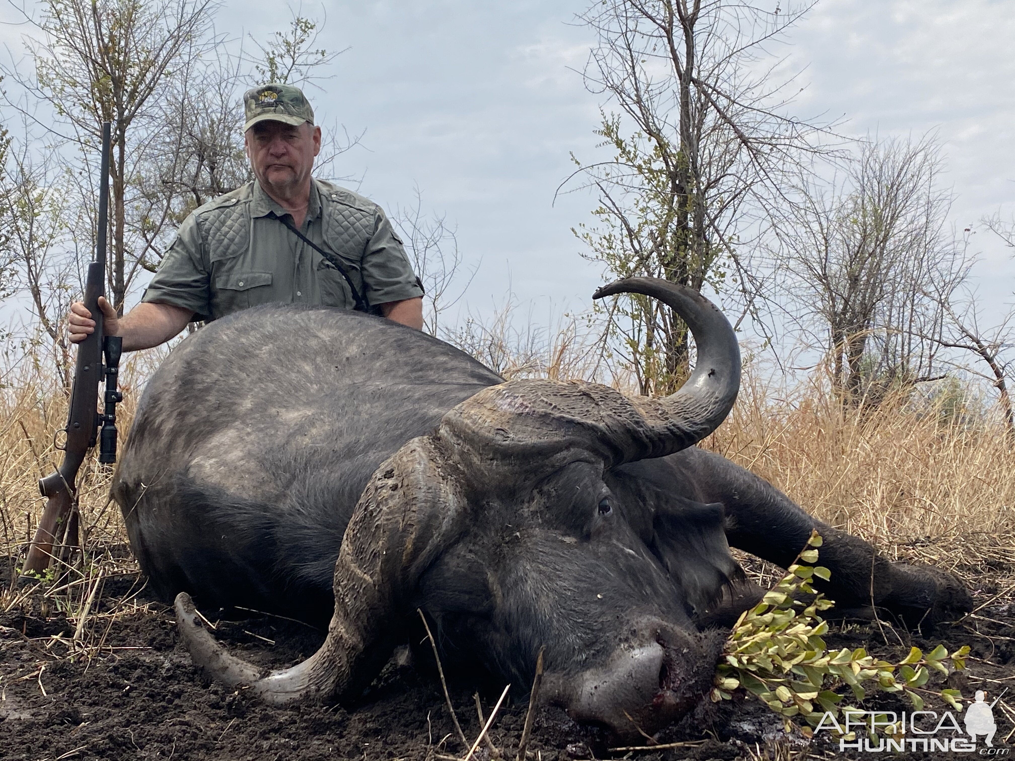 Cape Buffalo Hunt Zimbabwe