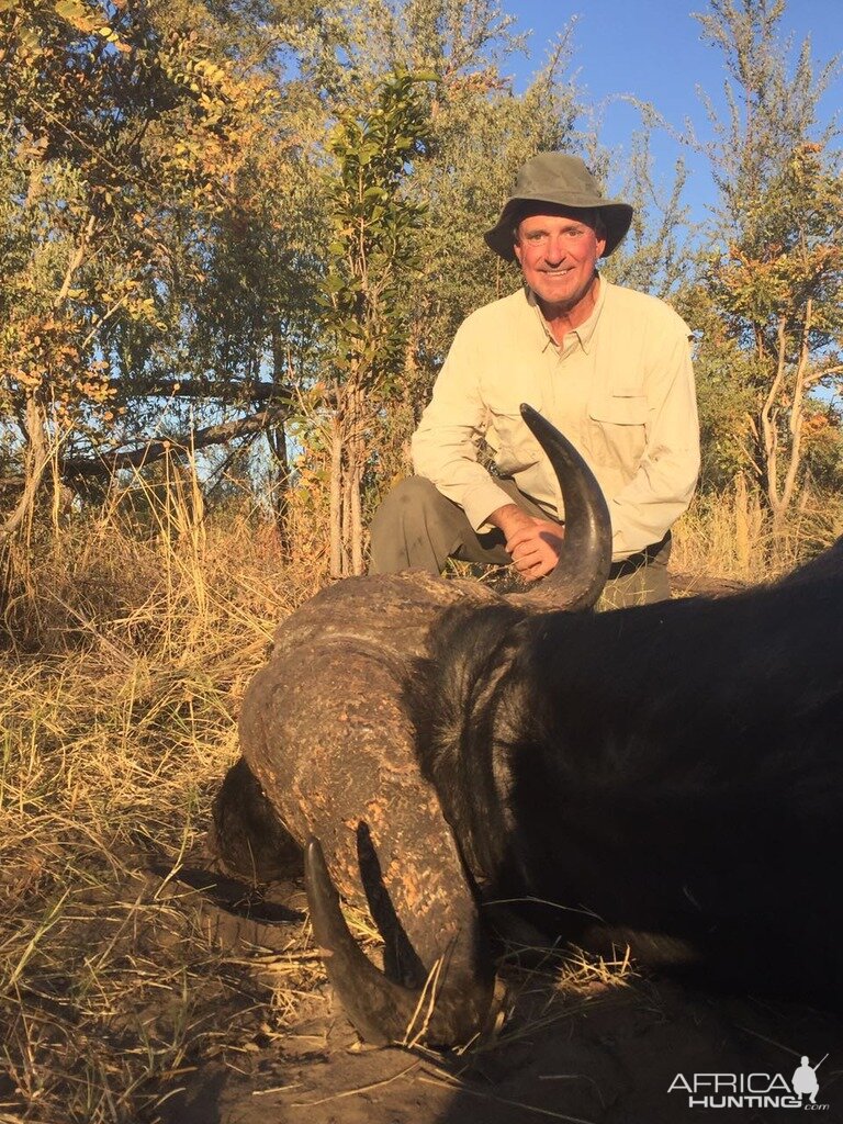 Cape Buffalo Hunt Zimbabwe