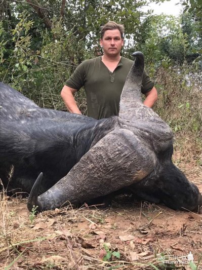 Cape Buffalo Hunt Zimbabwe