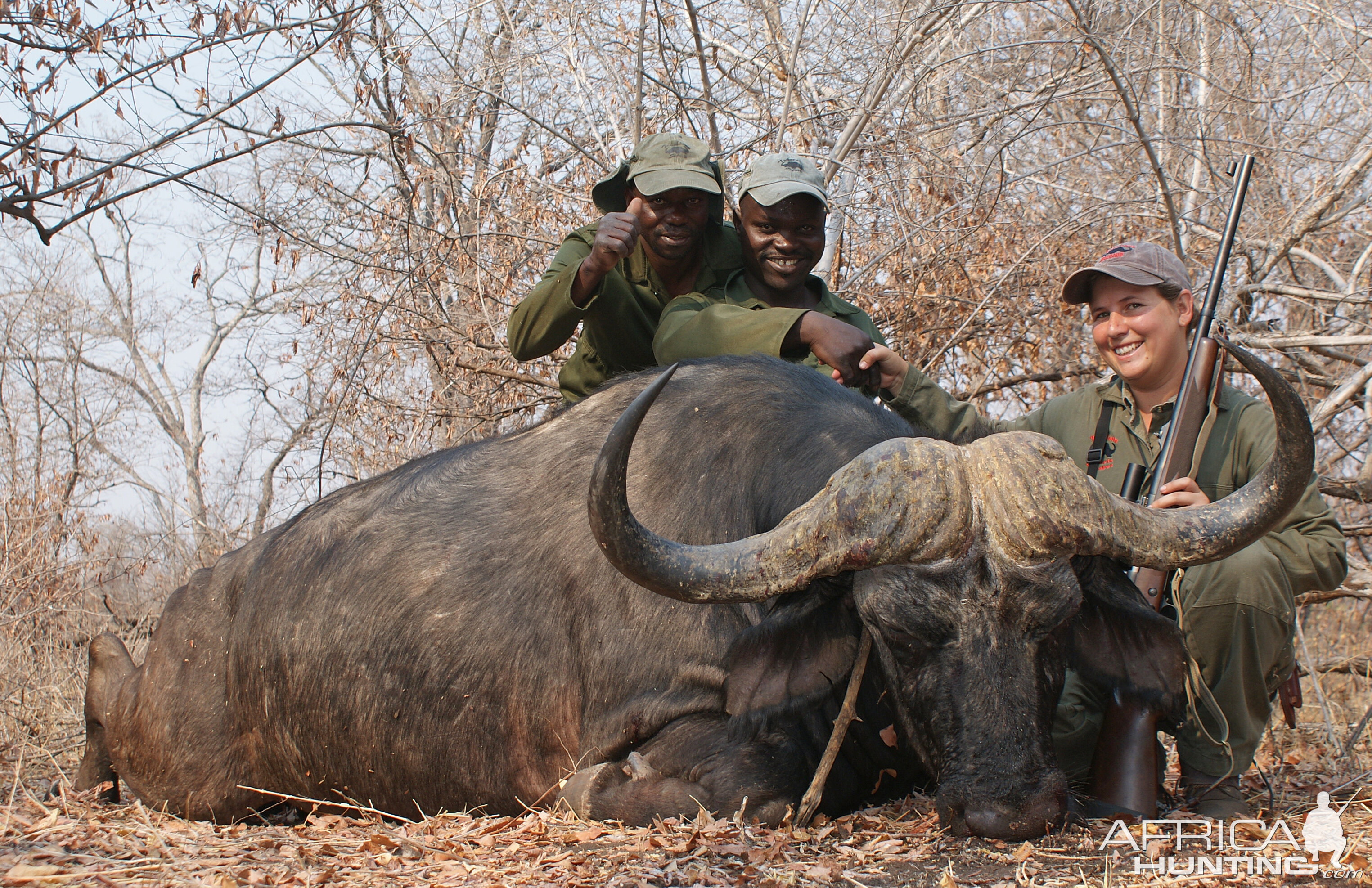 Cape Buffalo Hunt Zimbabwe