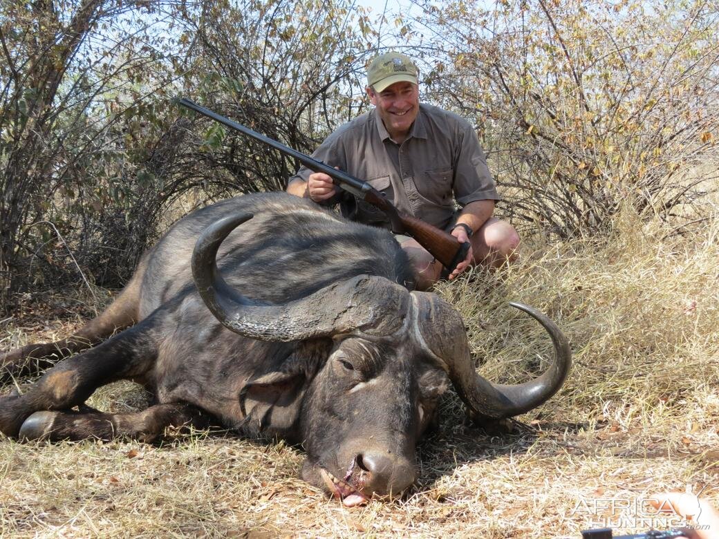 Cape Buffalo Hunt Zimbabwe