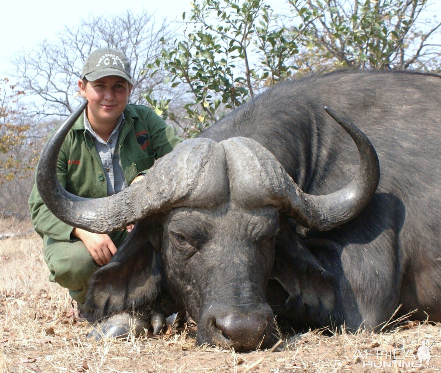 Cape Buffalo Hunt Zimbabwe