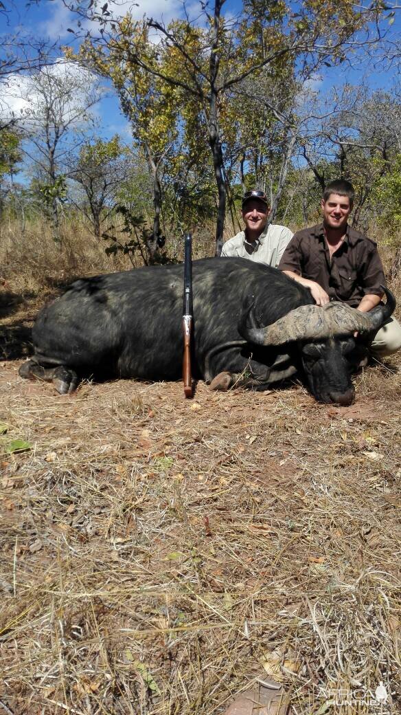 Cape Buffalo Hunt Zimbabwe