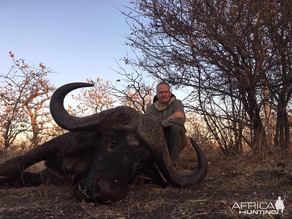 Cape Buffalo Hunt Zimbabwe