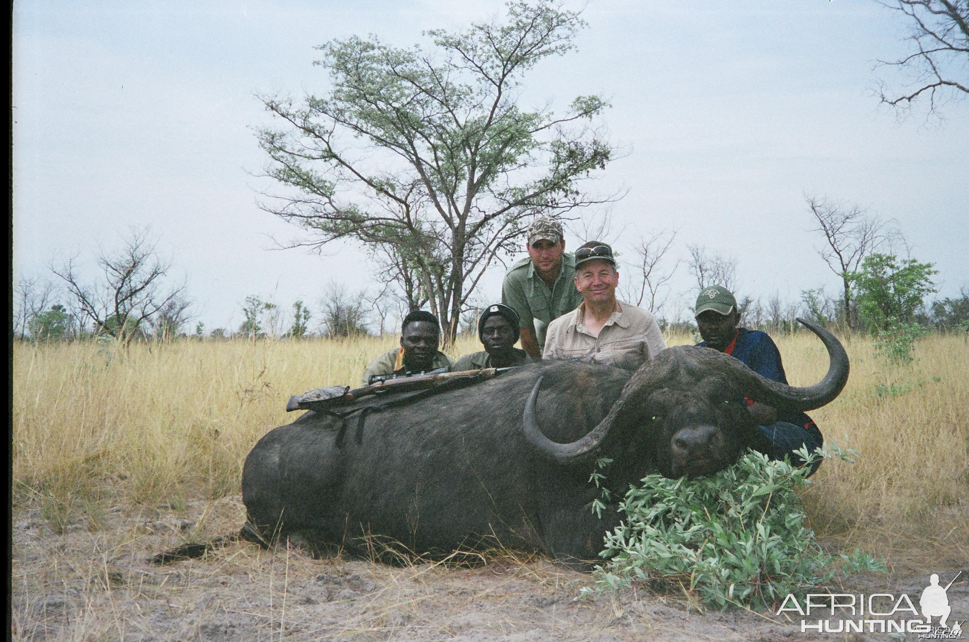 Cape Buffalo hunt Zimbabwe