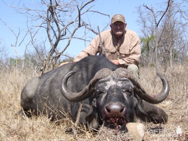 Cape Buffalo Hunt