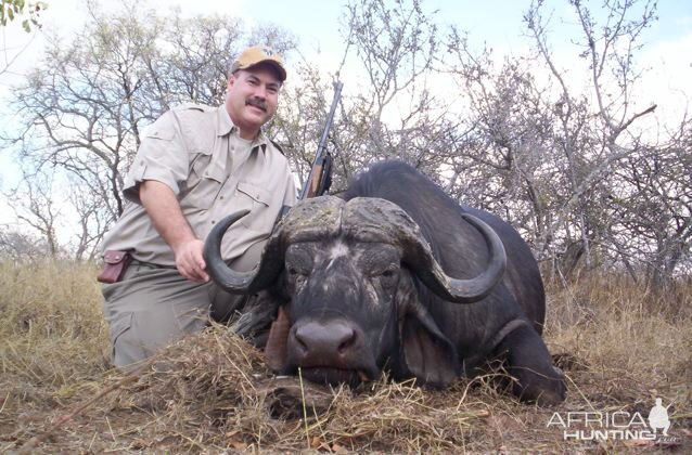 Cape Buffalo Hunt