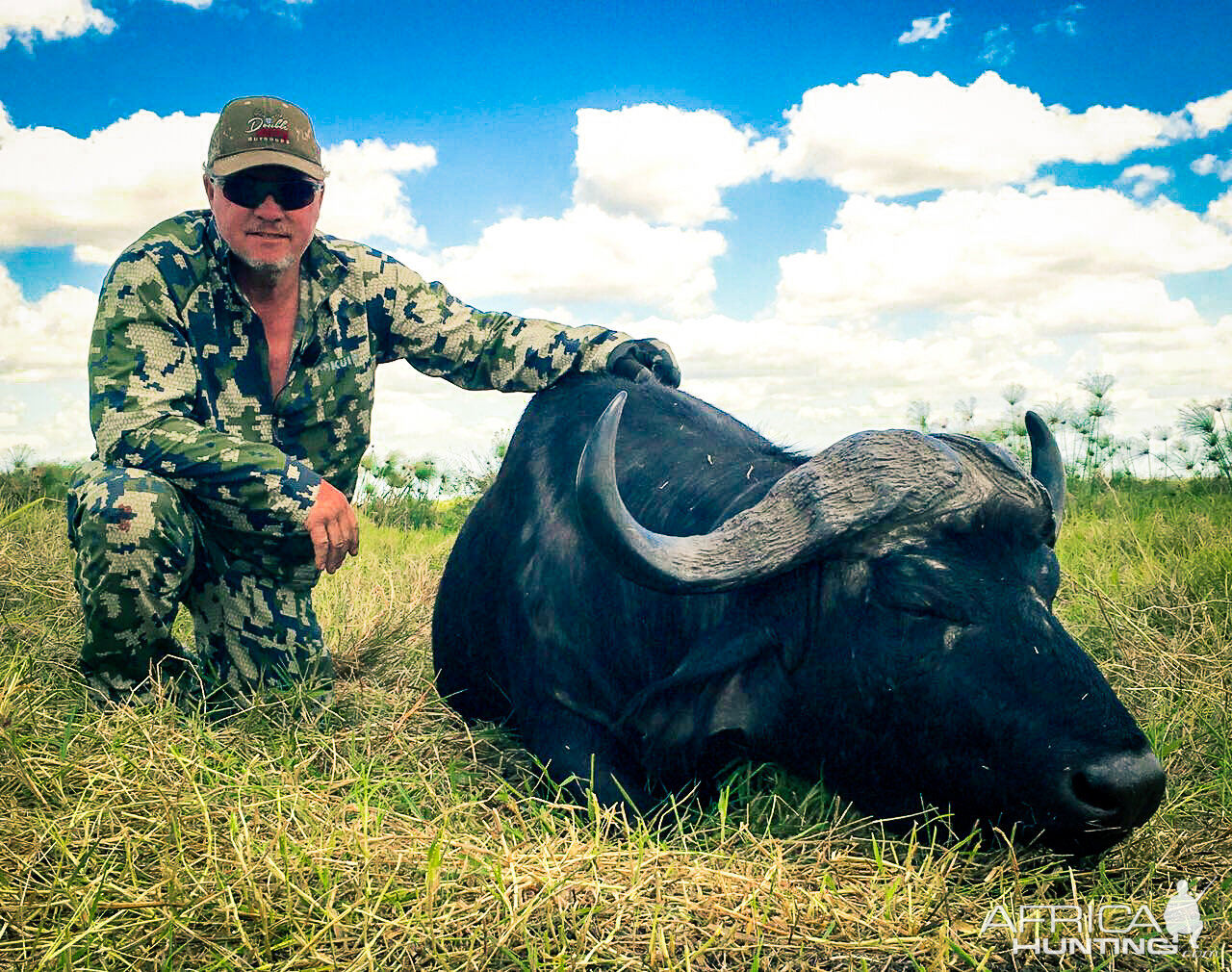 Cape Buffalo Hunt