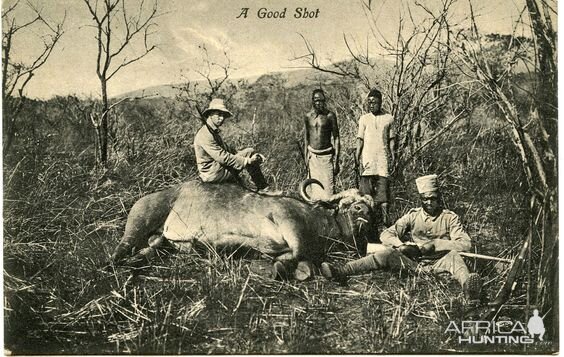 Cape Buffalo Hunting in Kenya