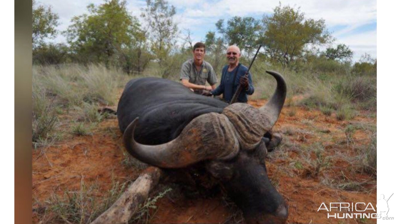 Cape Buffalo Hunting in South Africa