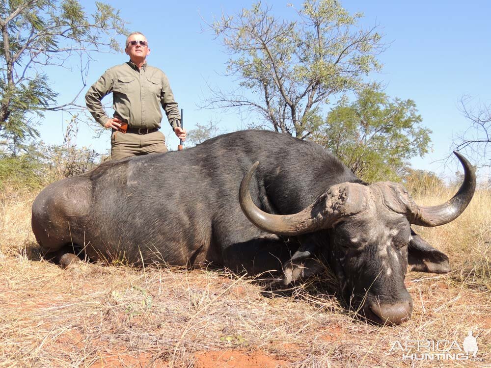 Cape Buffalo Hunting in South Africa