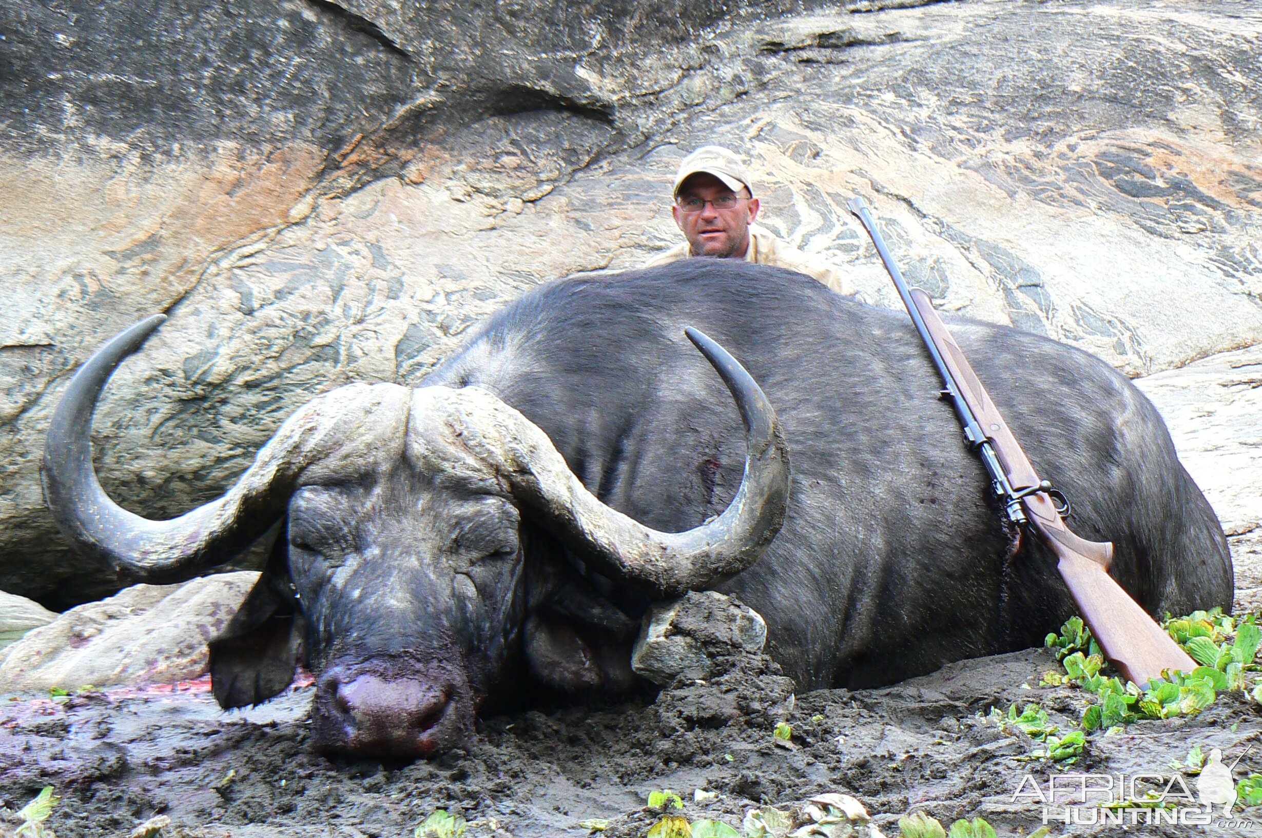 Cape Buffalo hunting in Tanzania