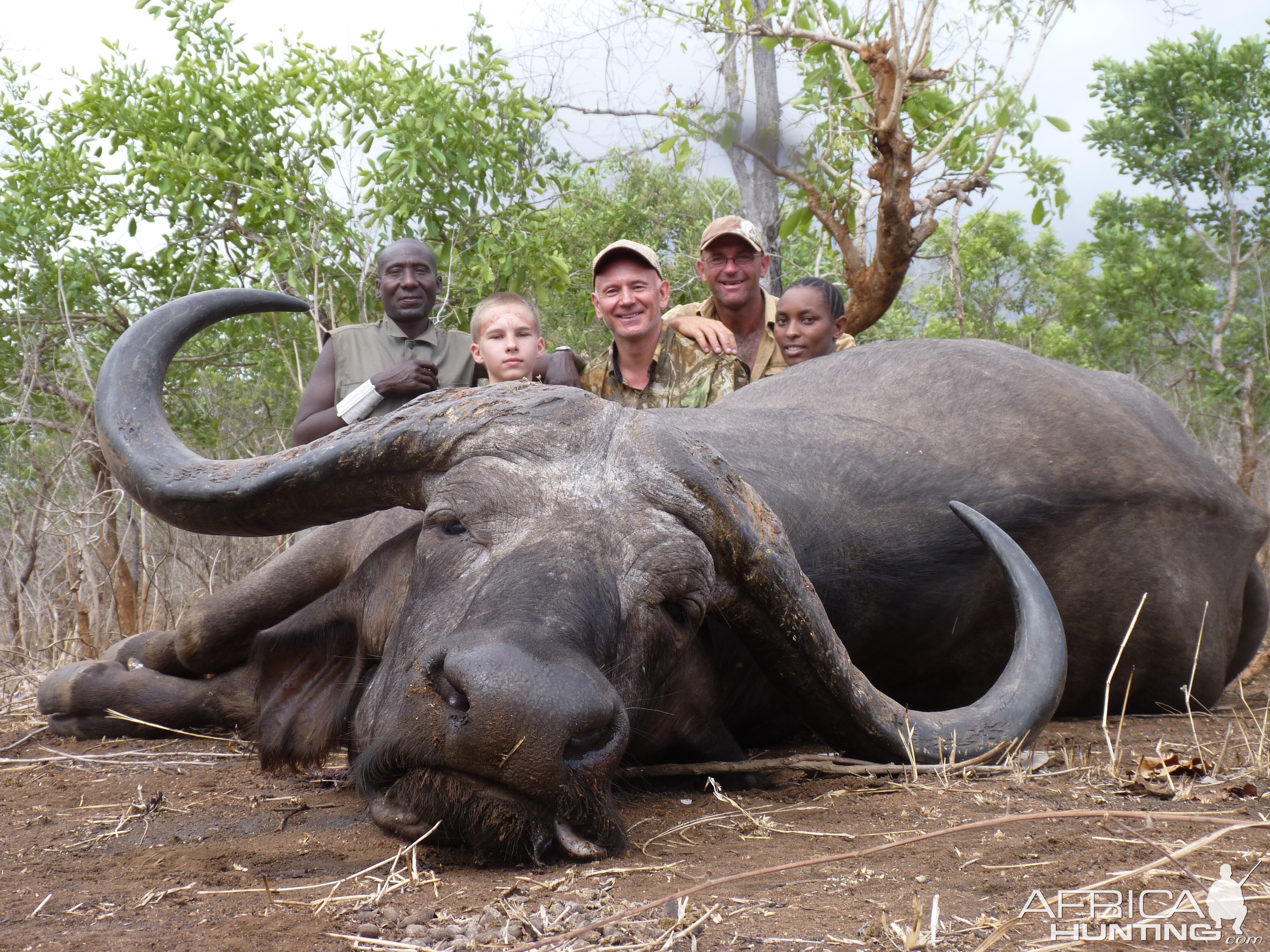 Cape Buffalo hunting in Tanzania