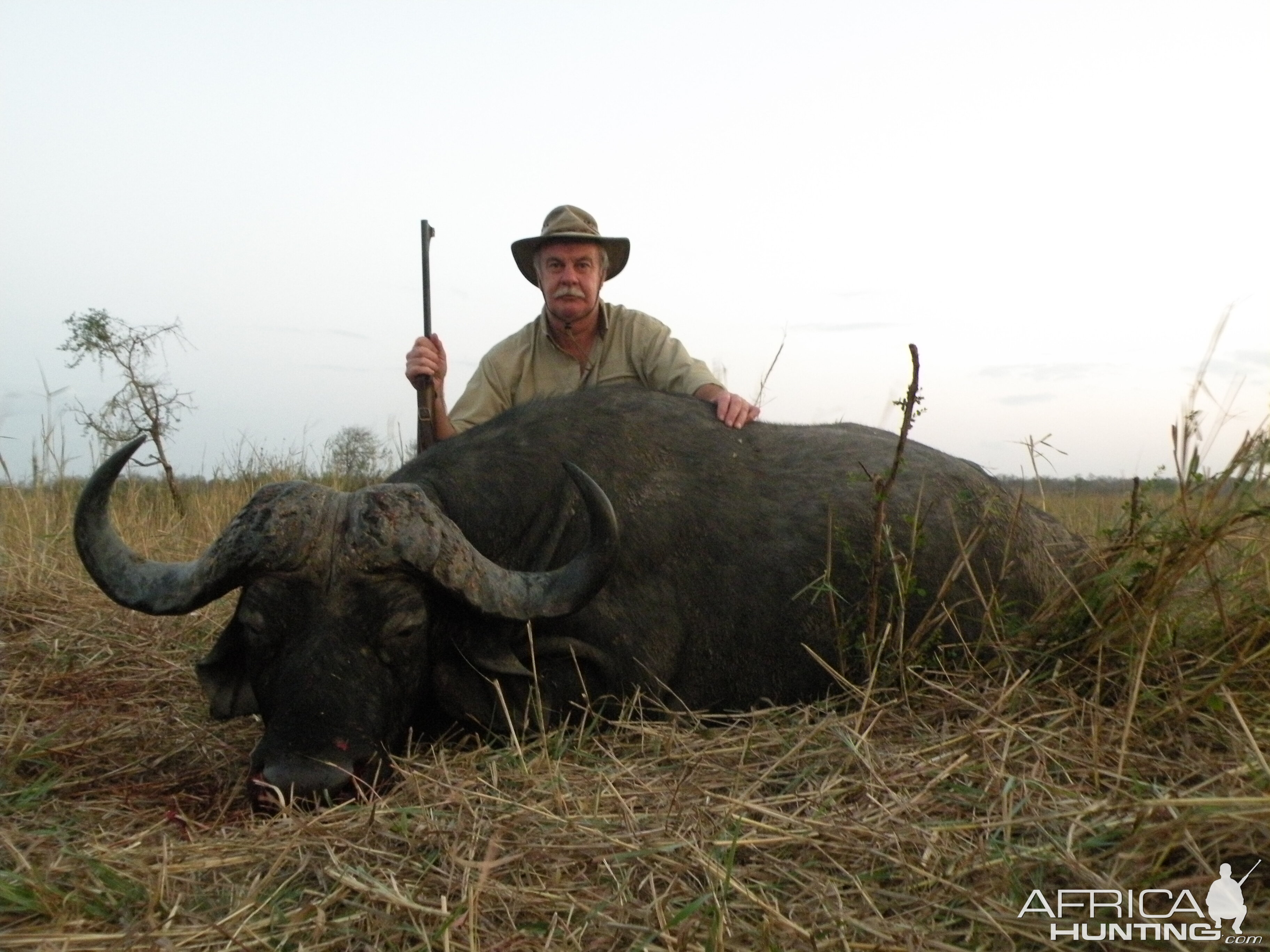 Cape Buffalo hunting in Tanzania