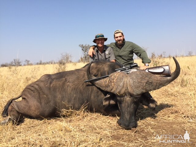 Cape Buffalo Hunting in Zimbabwe