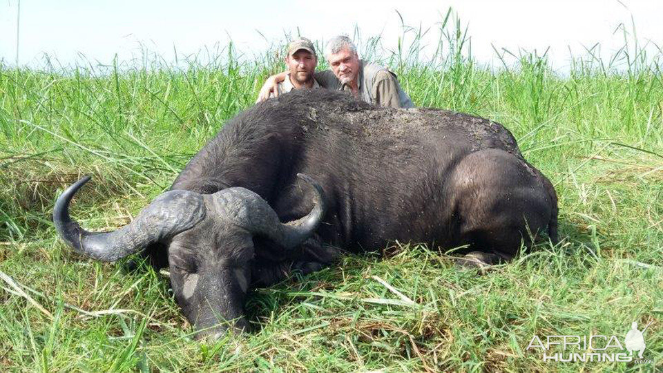 Cape Buffalo Hunting Mozambique