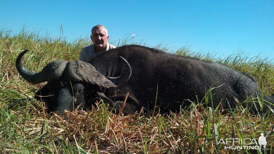 Cape Buffalo Hunting Mozambique