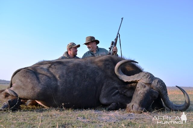 Cape Buffalo Hunting Namibia