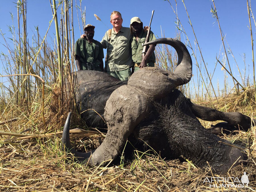 Cape Buffalo Hunting Namibia