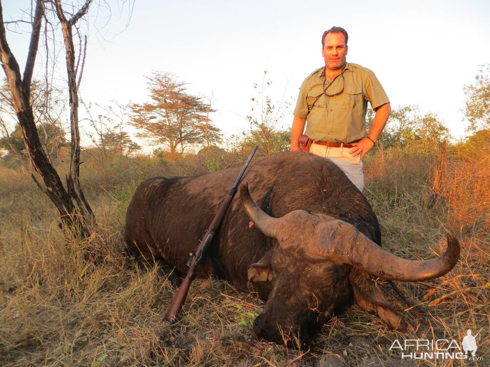 Cape Buffalo Hunting Namibia