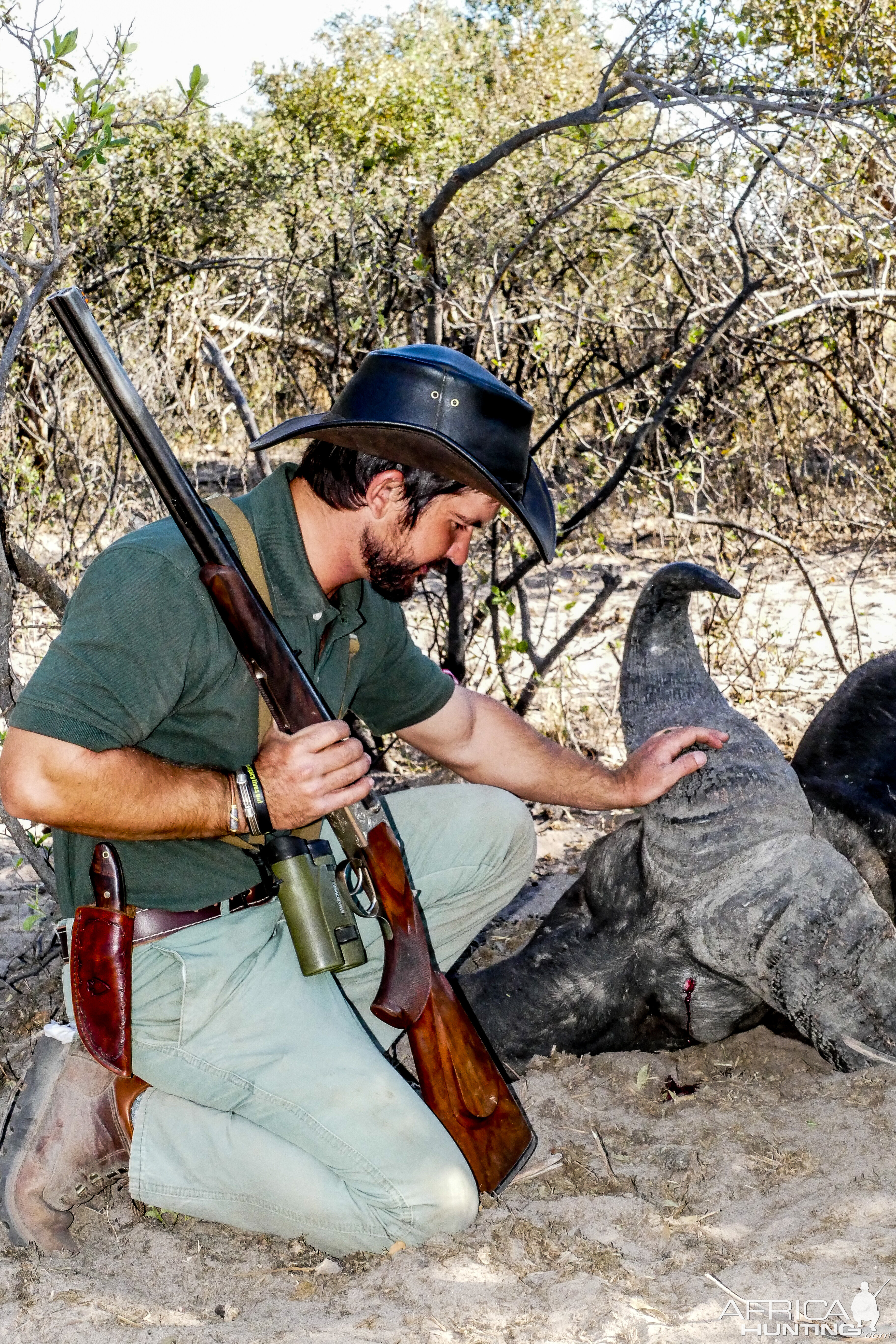 Cape Buffalo Hunting Namibia