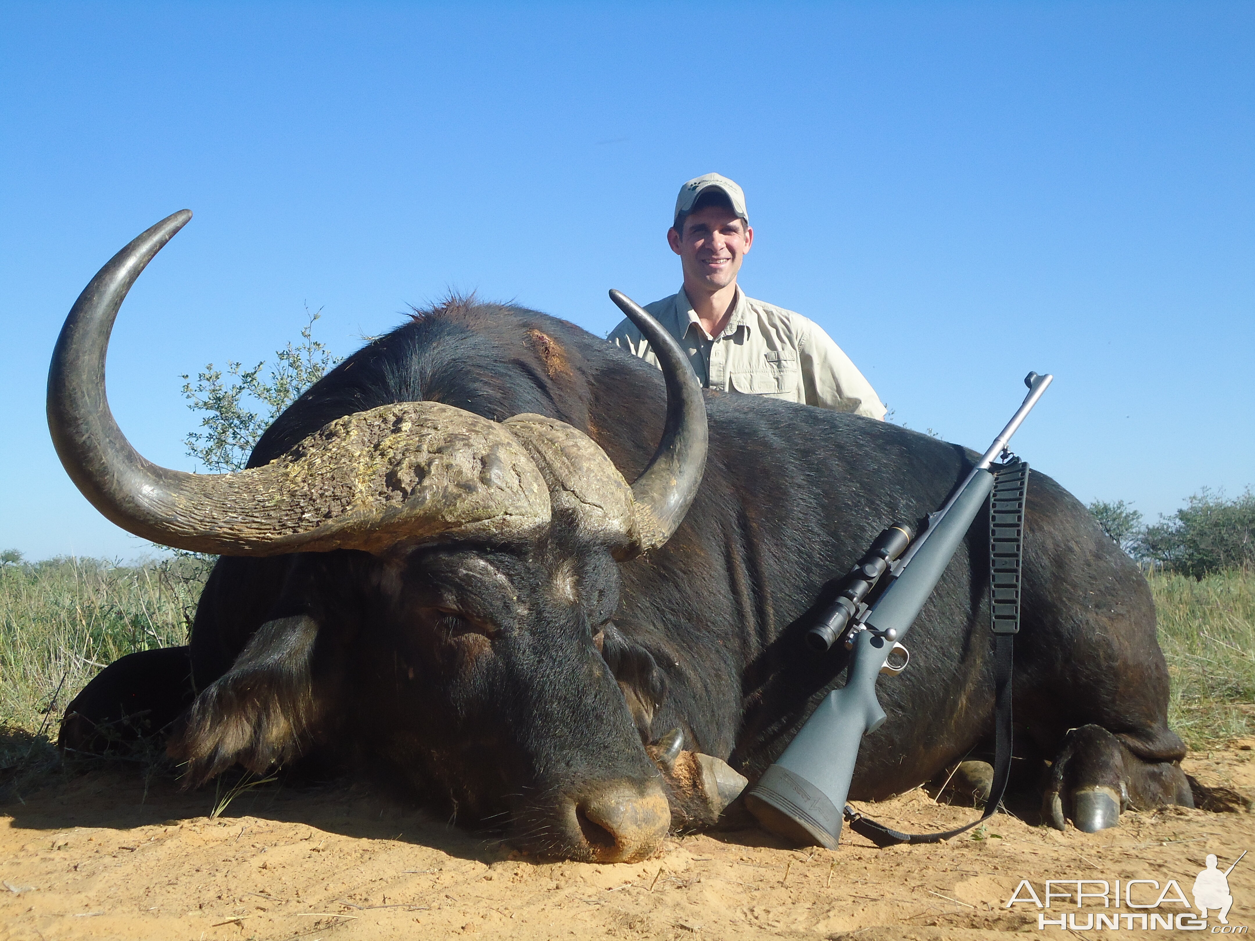 Cape Buffalo Hunting South Africa