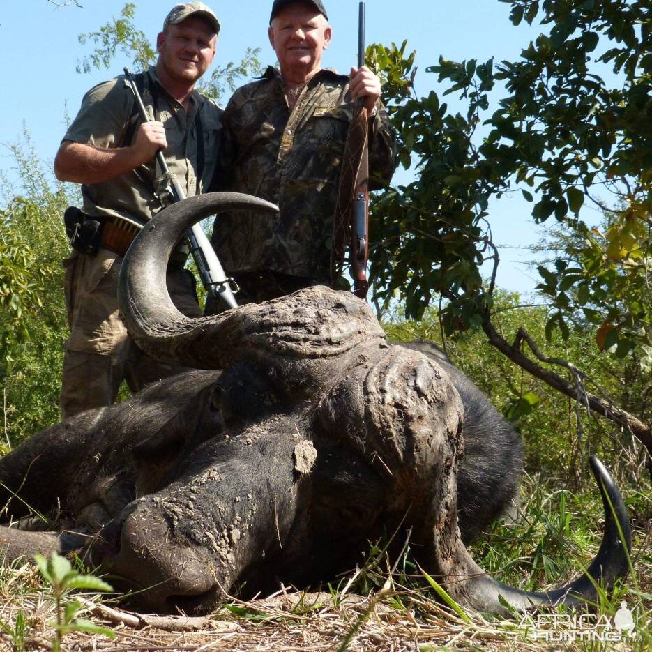 Cape Buffalo Hunting South Africa