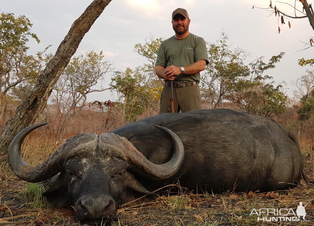 Cape Buffalo Hunting Tanzania