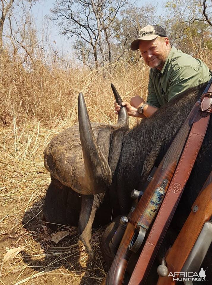 Cape Buffalo Hunting Zambia