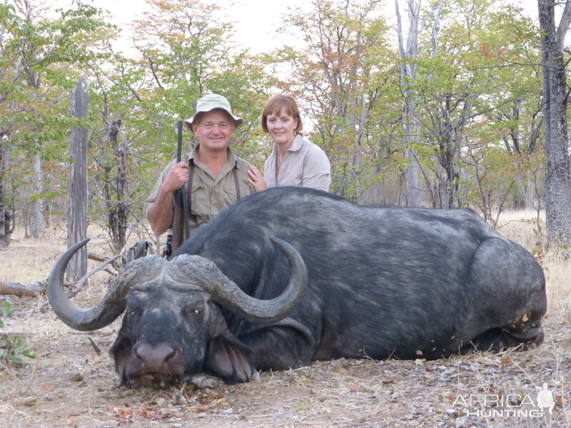 Cape Buffalo Hunting Zimbabwe