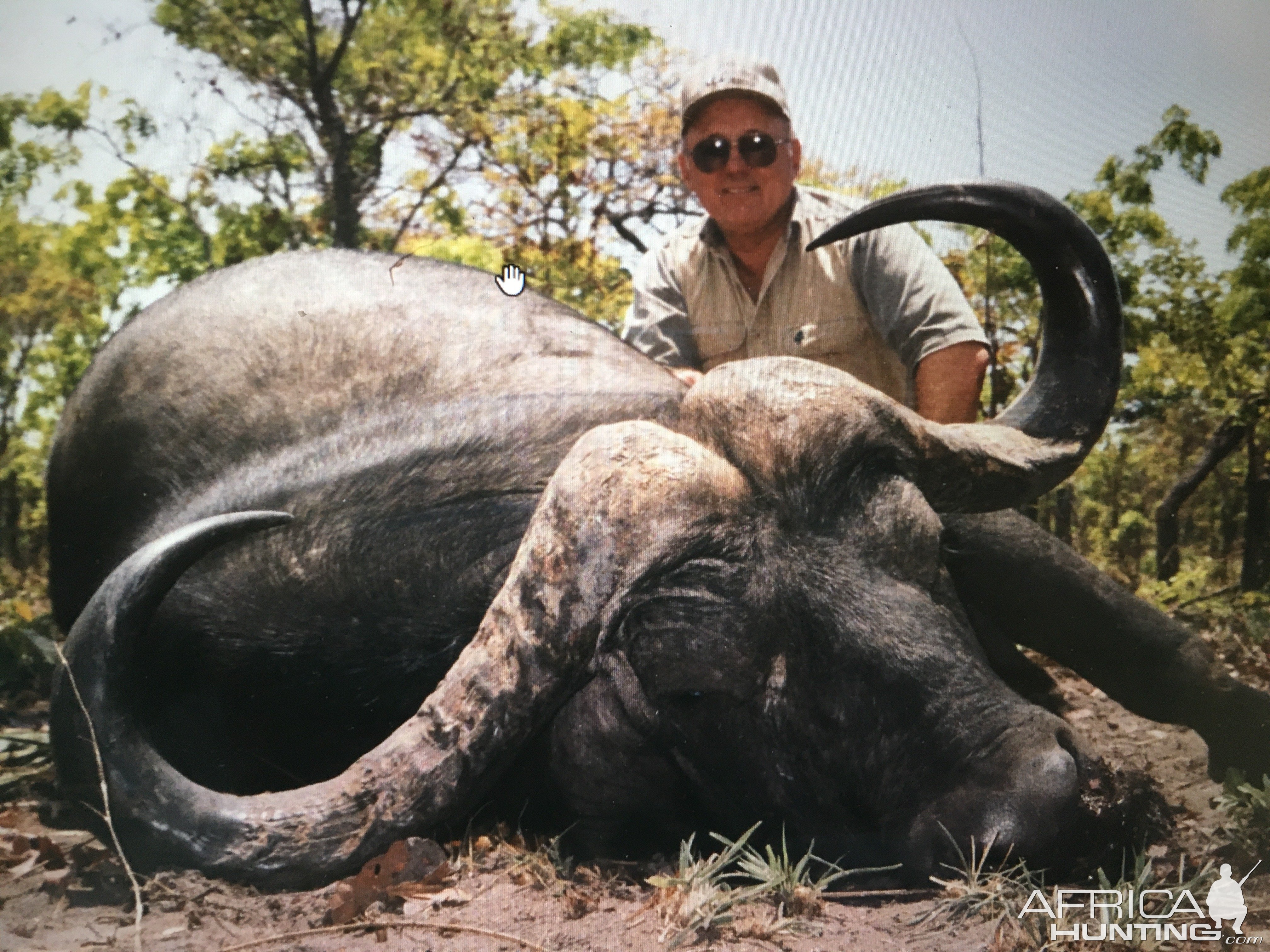 Cape Buffalo Hunting