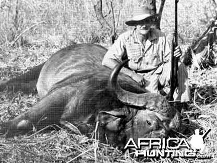 Cape Buffalo Hunting