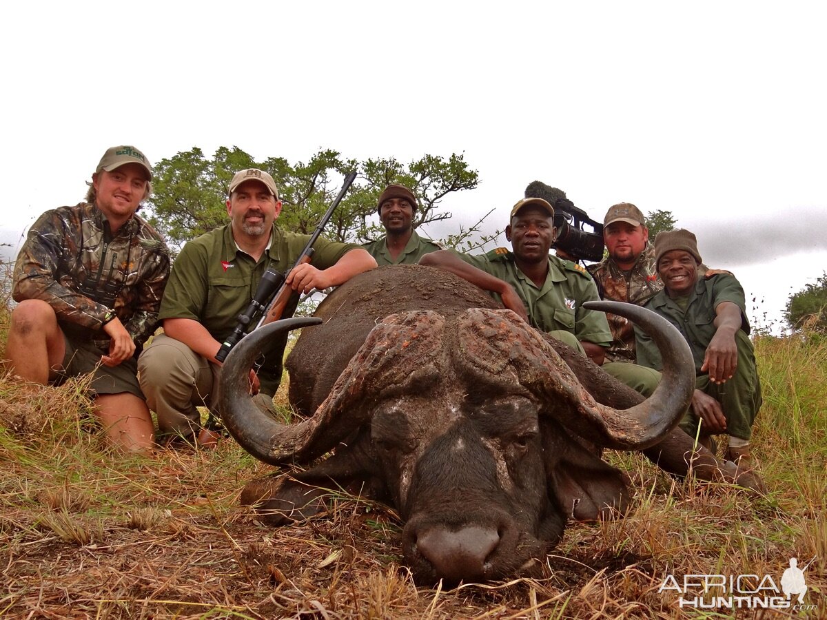 Cape Buffalo Hunting