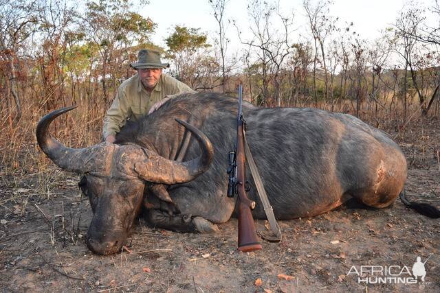 Cape Buffalo Hunting