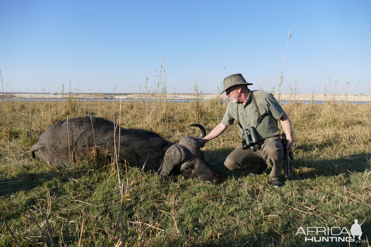 Cape Buffalo Hunting