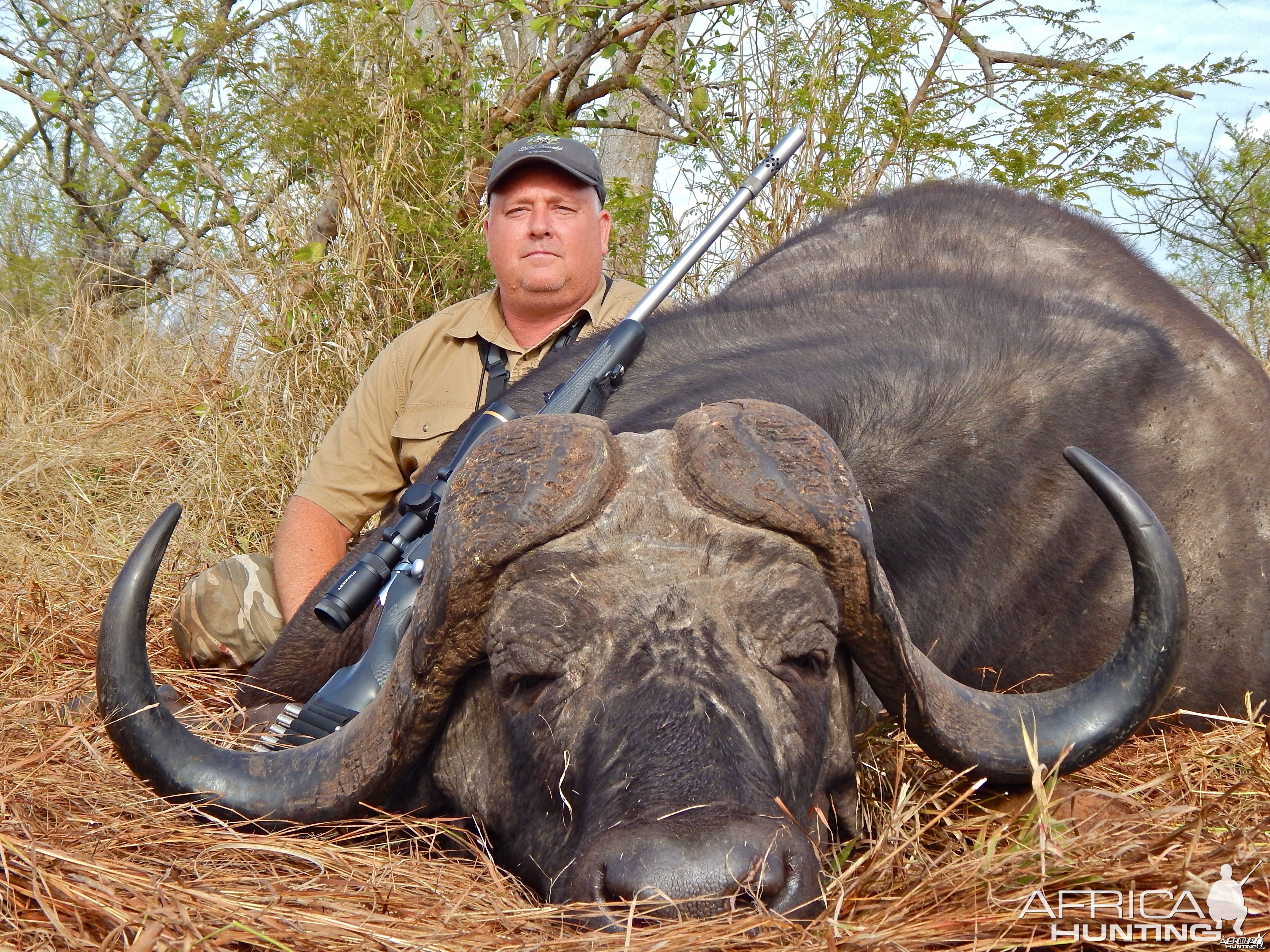 Cape Buffalo ~ Lebombo Conservancy, Mozambique