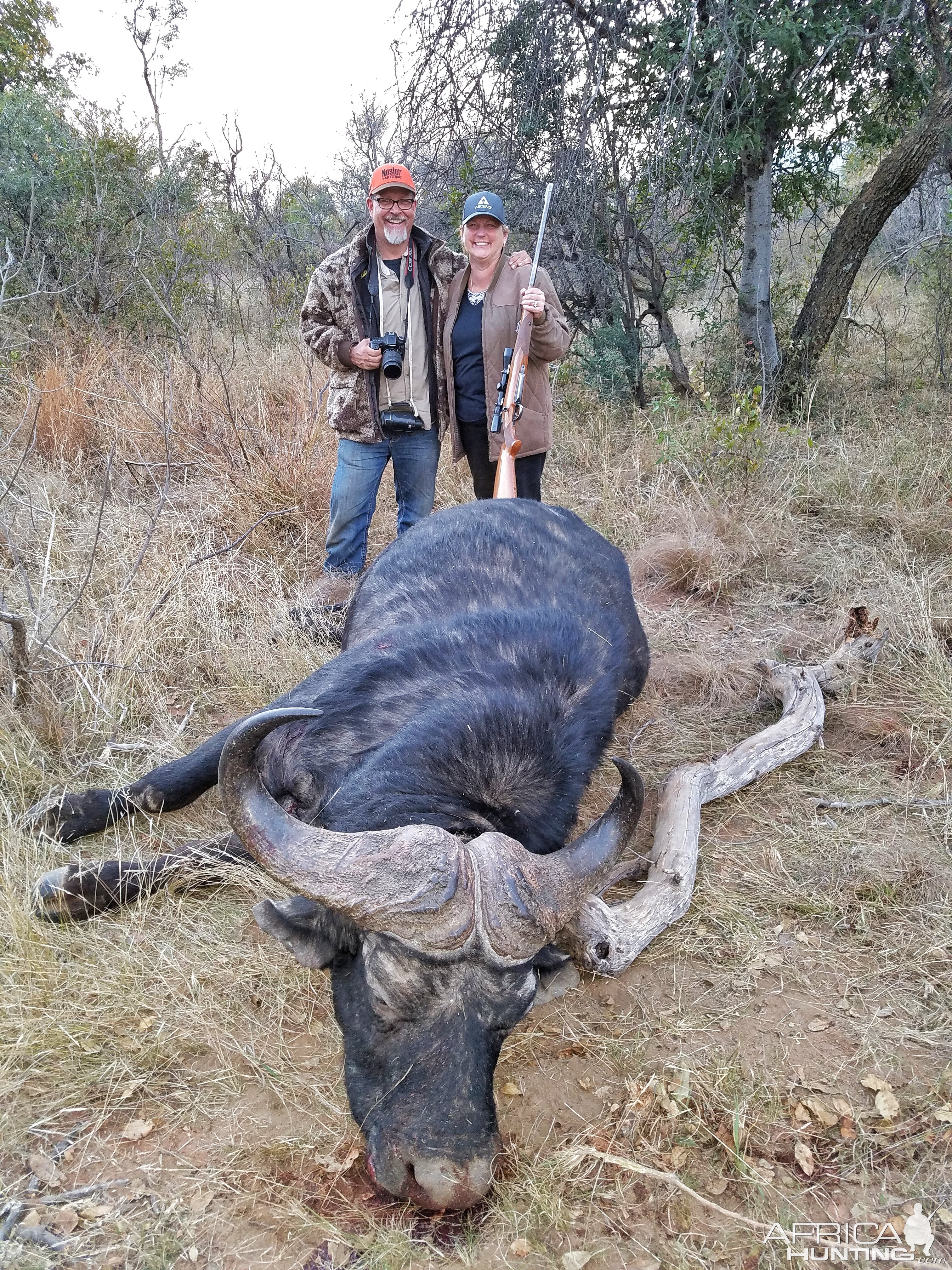 Cape Buffalo South Africa Hunt