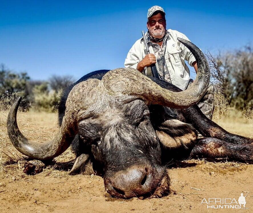 Cape Buffalo South Africa Hunt