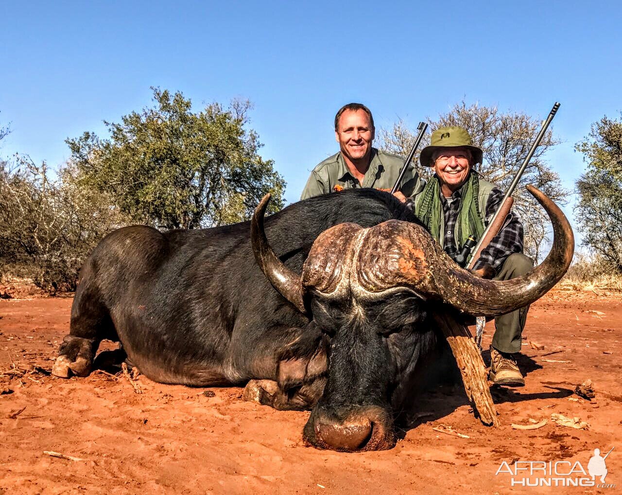 Cape Buffalo South Africa Hunt