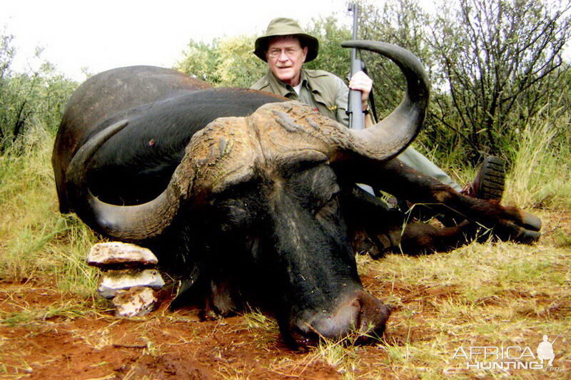 Cape Buffalo South Africa Hunt