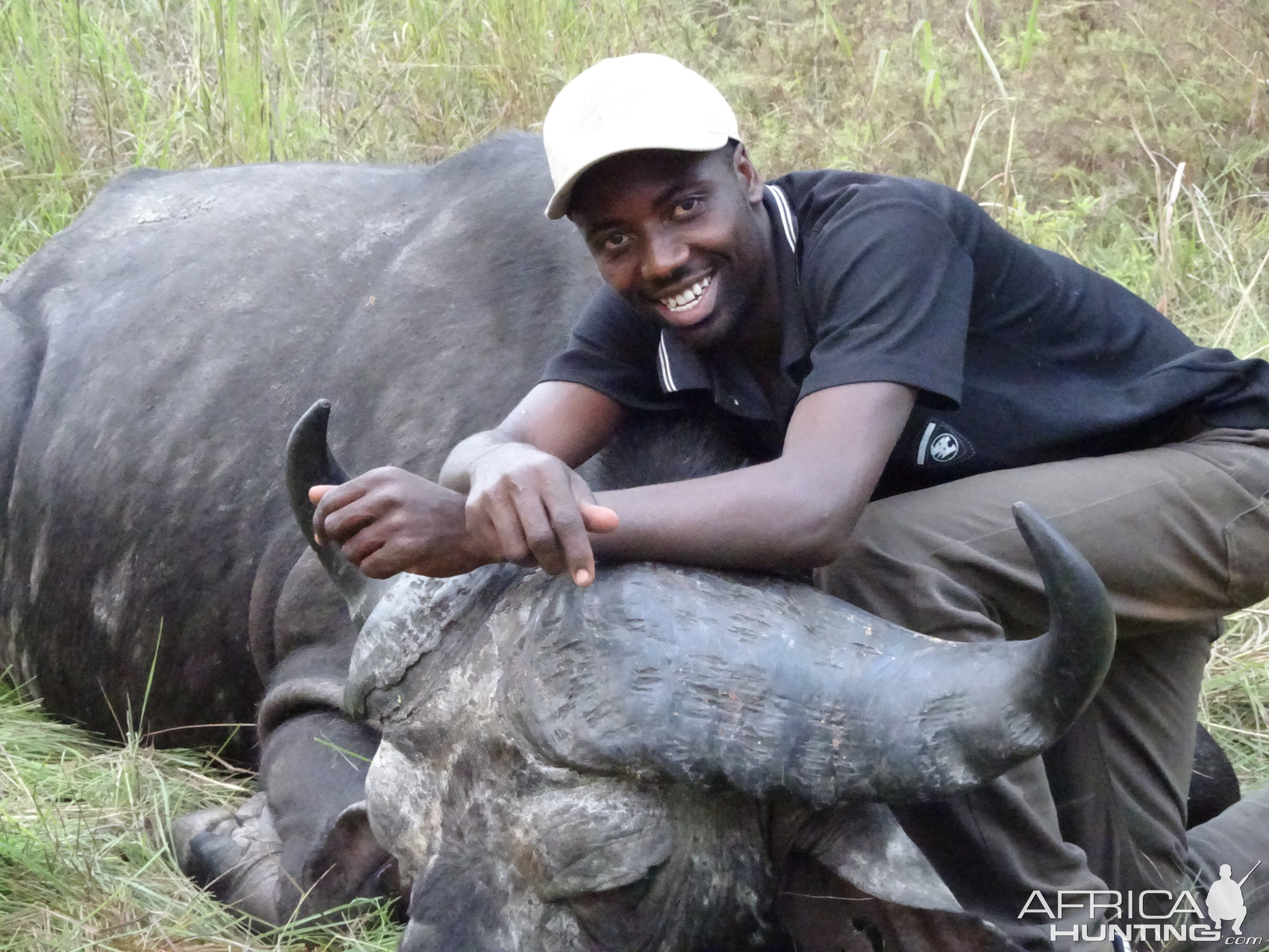 Cape Buffalo  Tanzania Hunt