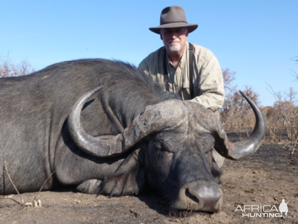 Cape Buffalo Tanzania Hunt