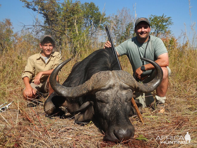 Cape Buffalo Zimbabwe Hunt